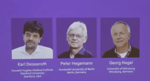 Fényérzékeny ioncsatornák felfedezéséért jár az orvosi Nobel-díj