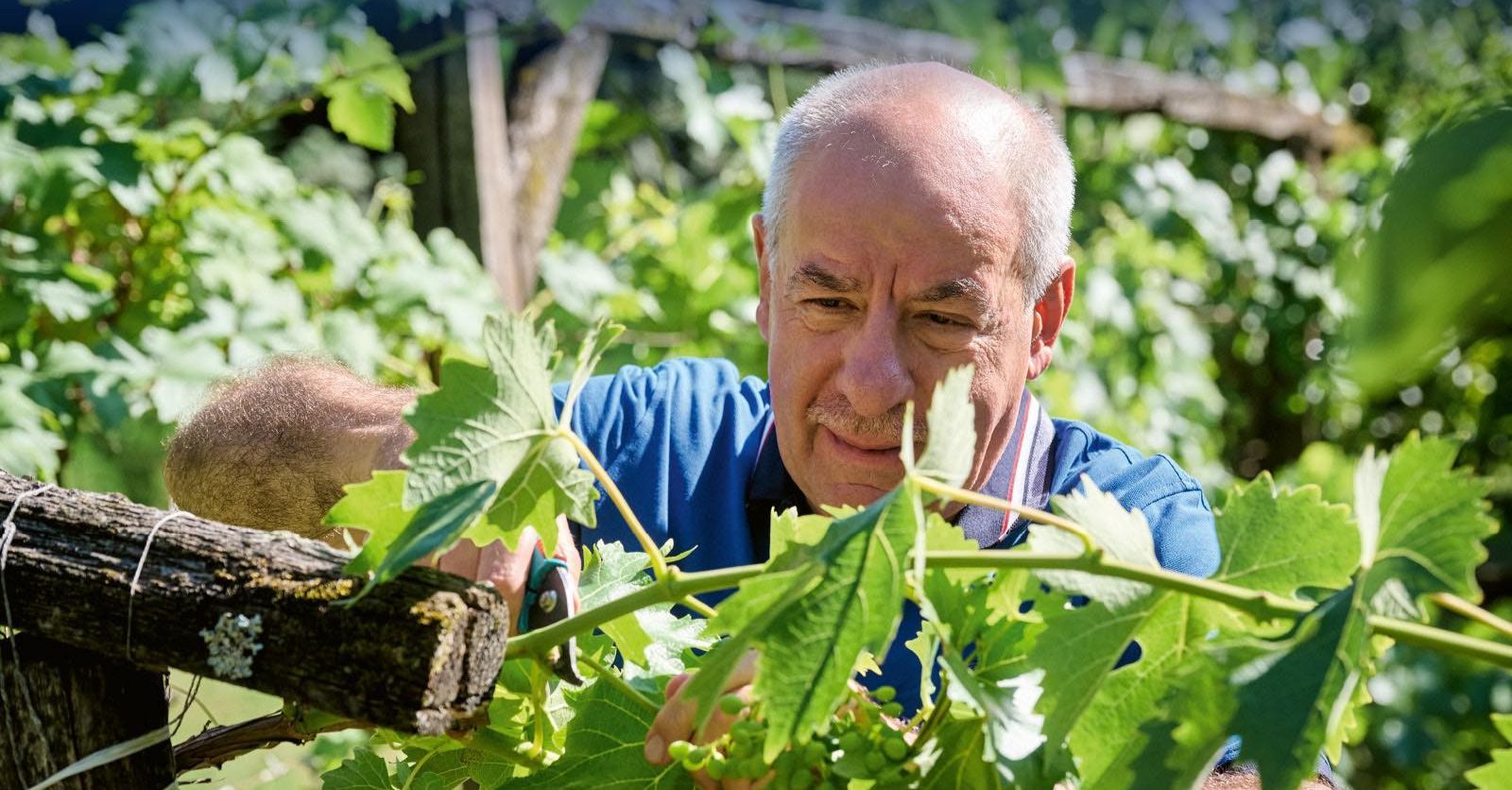 Egy 11 éves kisfiú állampolgárságát vonta vissza Sulyok Tamás