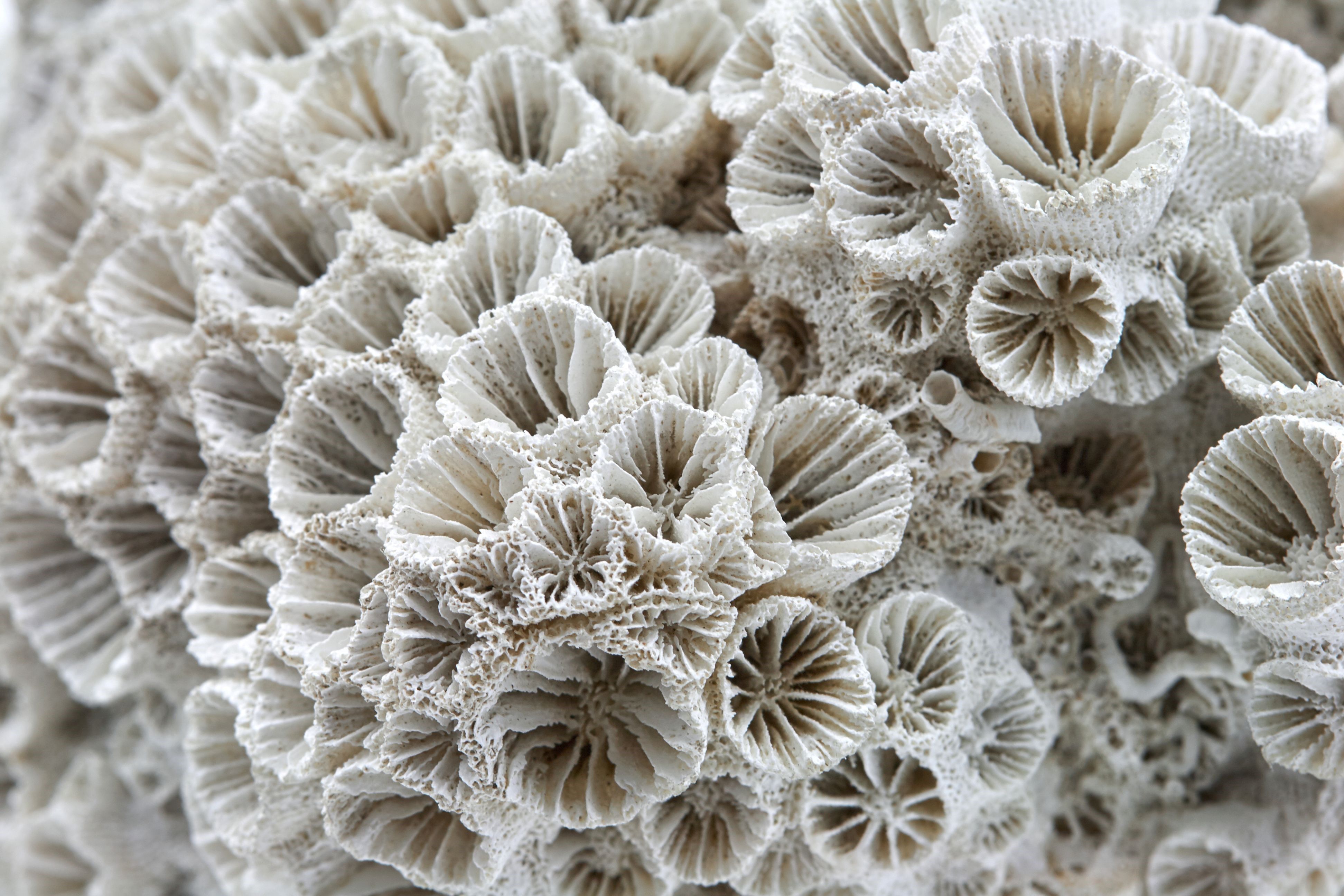 AdobeStock_342404987-1.jpg
