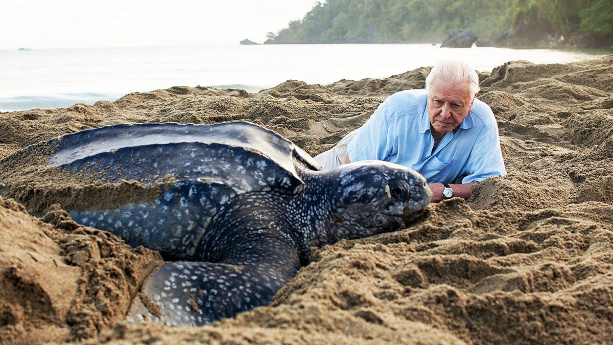 Attenborough_4.jpg