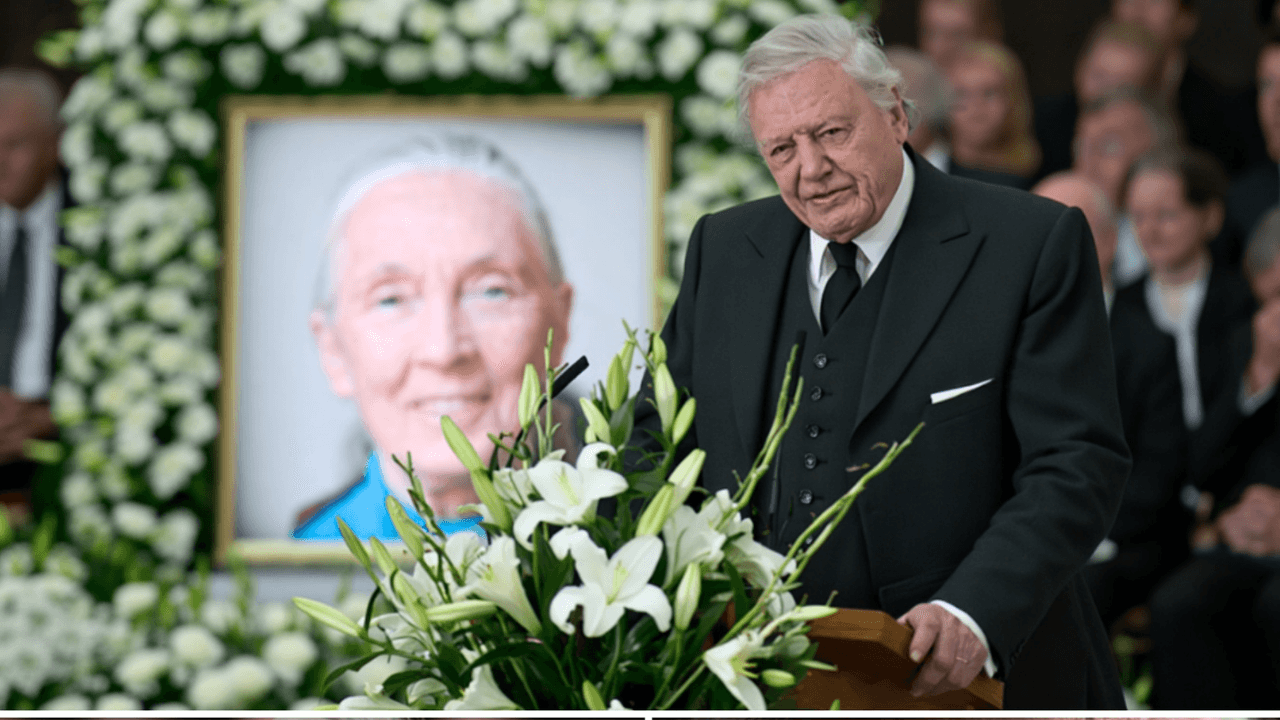 David Attenborough Jane Goodall temetésén  Forrás Facebook.png