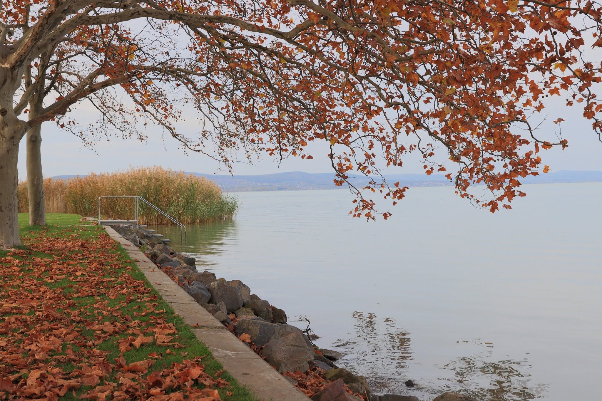 Kutatók kongatják a vészharangot a Balaton-part bolygatása miatt