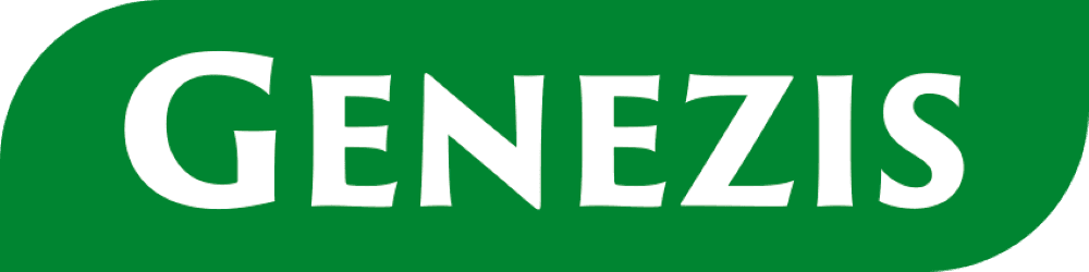 genezis.png