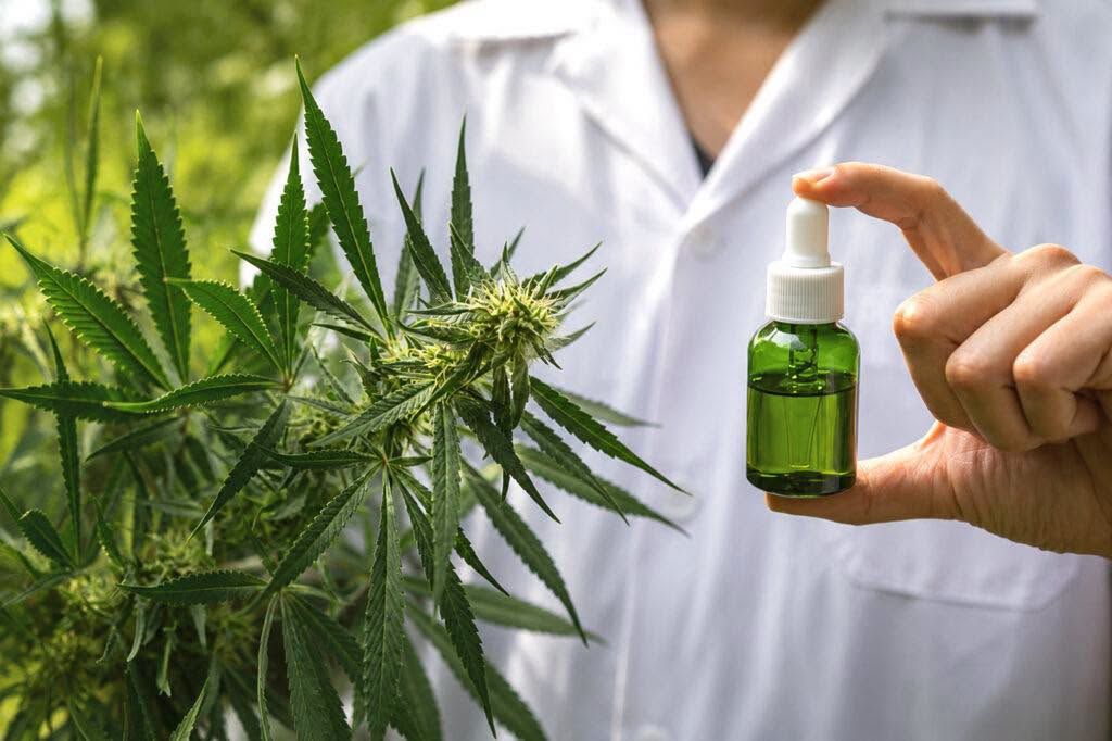 Medián: A magyarok négyötöde támogatná az orvosi kannabisz használatát