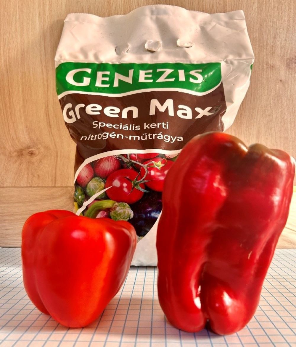 paprika.jpg